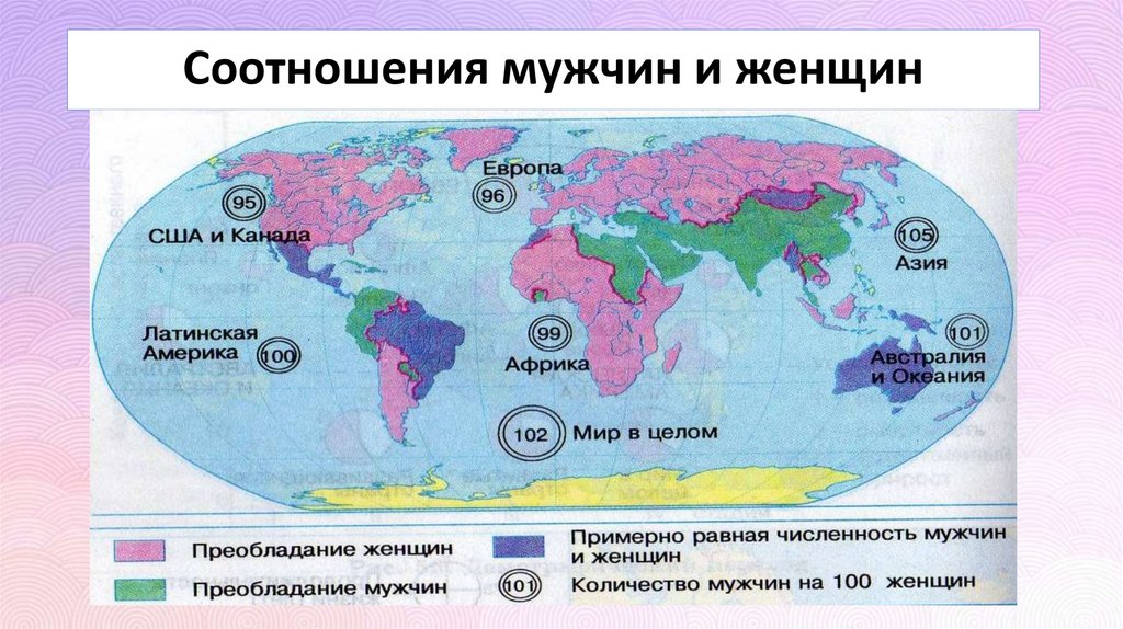 Соотношения мужчин и женщин