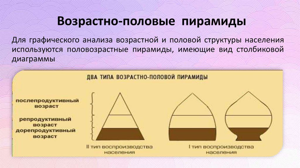 Возрастно-половые пирамиды