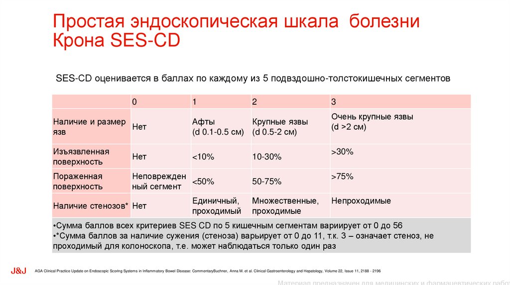 Простая эндоскопическая шкала болезни Крона SES-CD