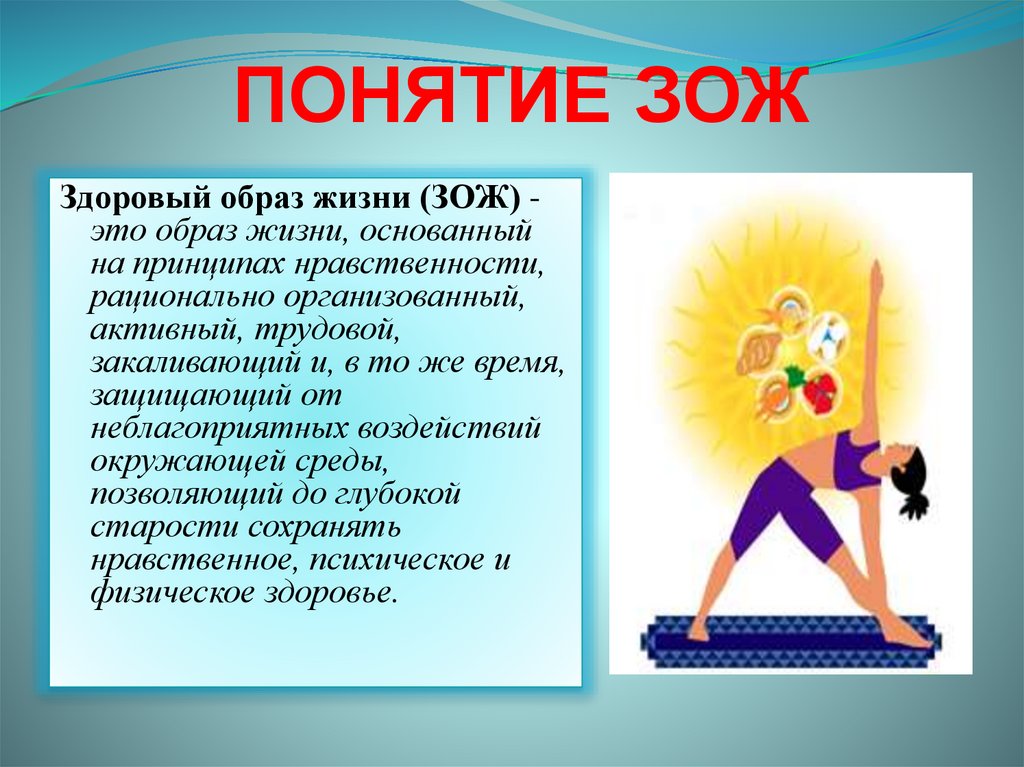 ПОНЯТИЕ ЗОЖ