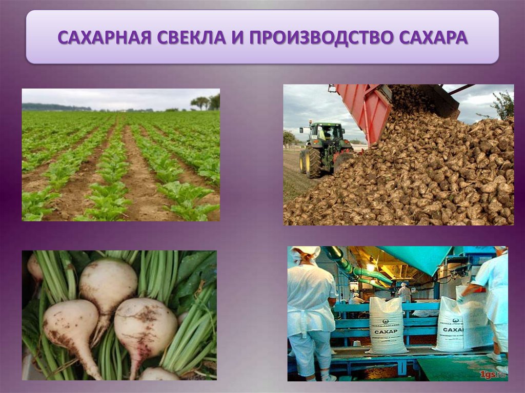 ЦИОНАЛЬНЫХ