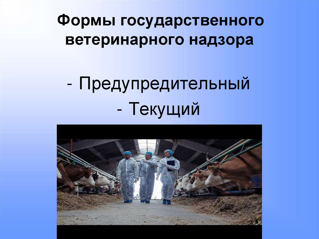 Формы государственного ветеринарного надзора