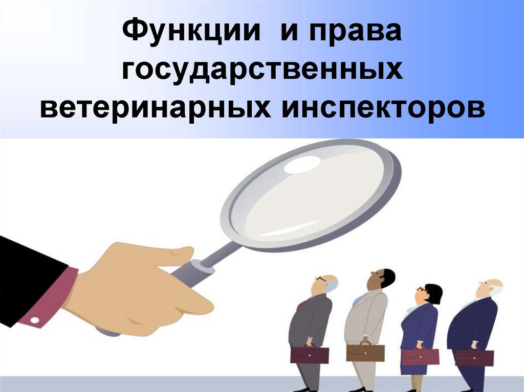 Функции и права государственных ветеринарных инспекторов
