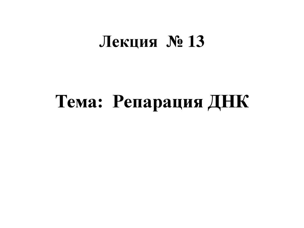 Лекция № 13