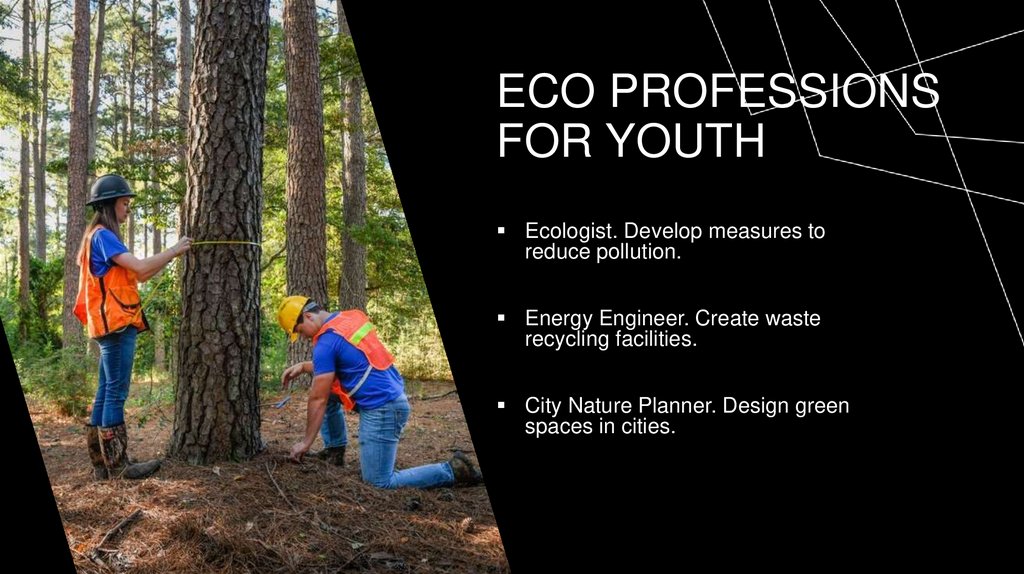 eco Professions for youth