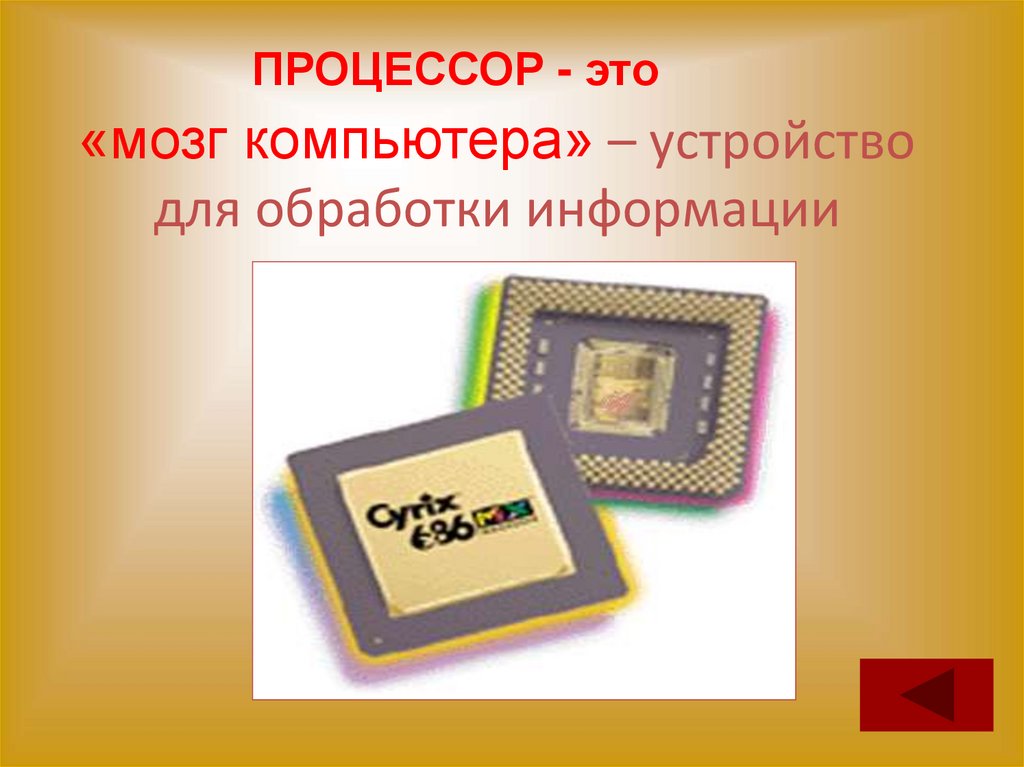 «мозг компьютера» – устройство для обработки информации