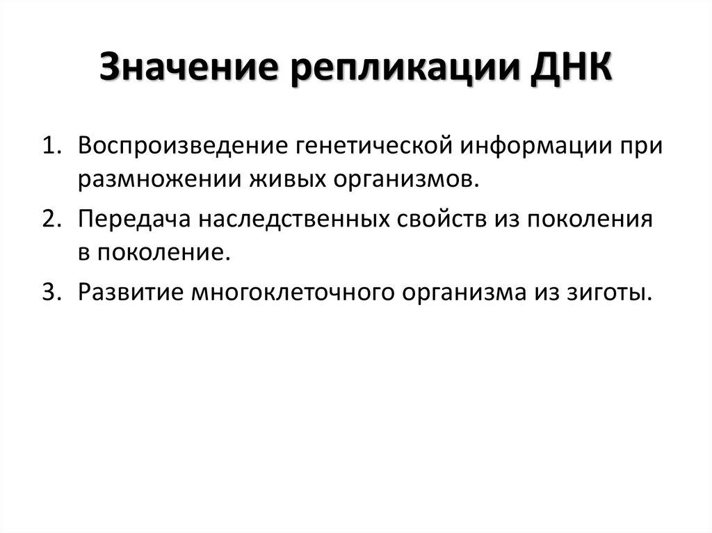 Значение репликации ДНК