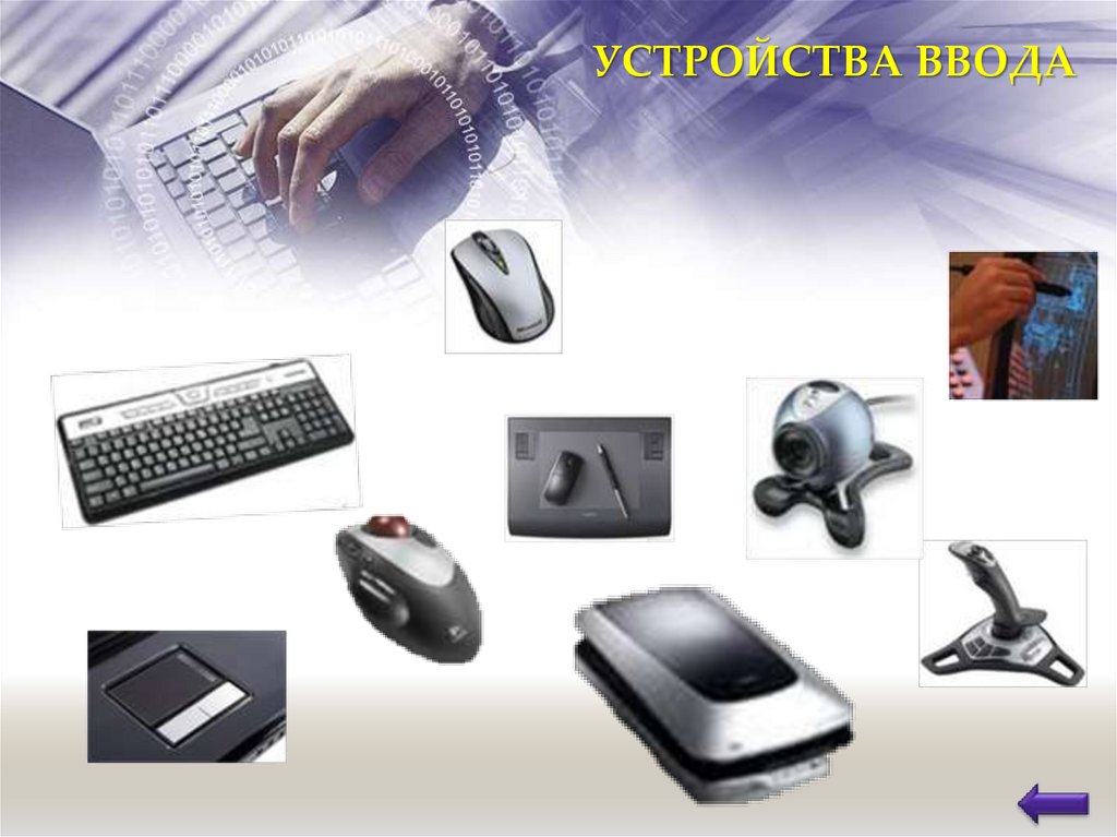 УСТРОЙСТВА ВВОДА