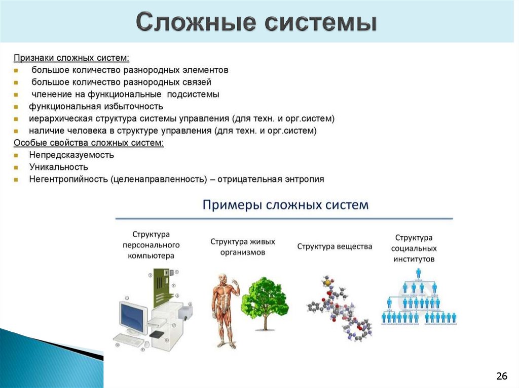 Сложные системы