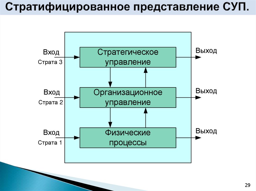 Стратифицированное представление СУП.