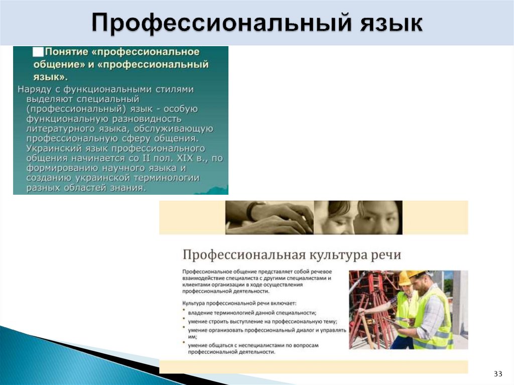 Профессиональный язык