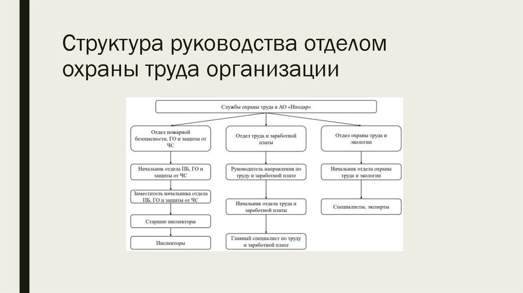 Структура руководства отделом охраны труда организации
