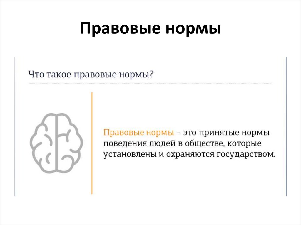 Правовые нормы