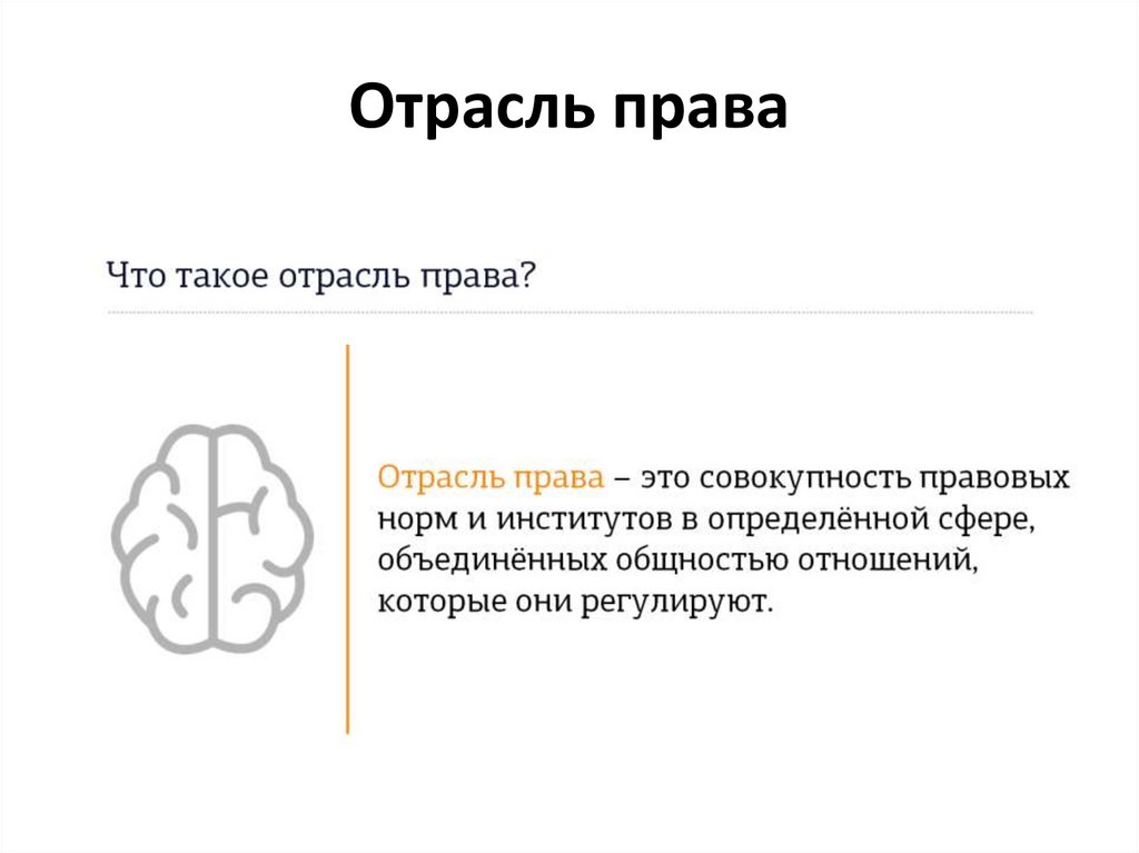 Отрасль права