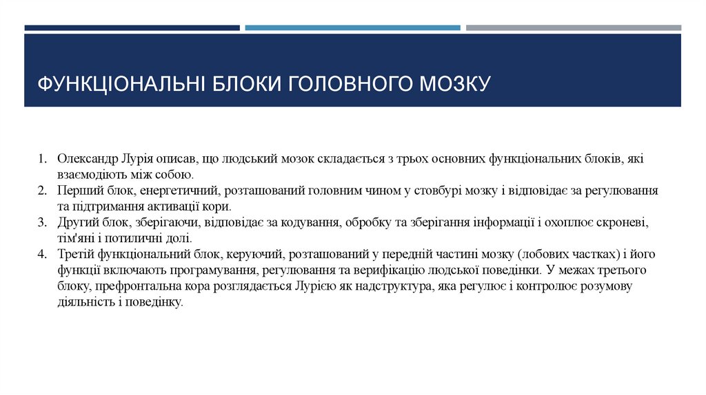 Функціональні блоки головного мозку
