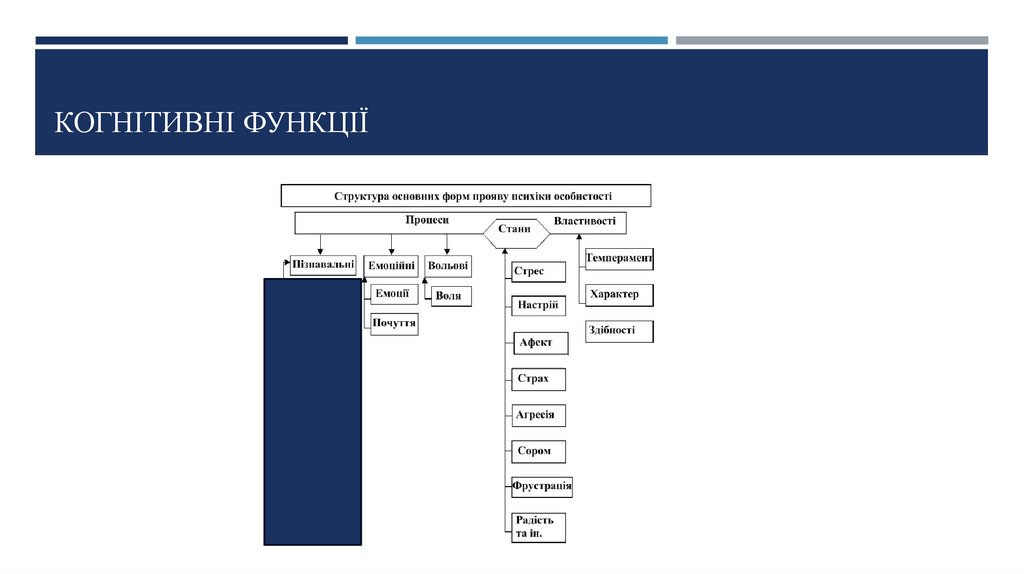 Когнітивні функції