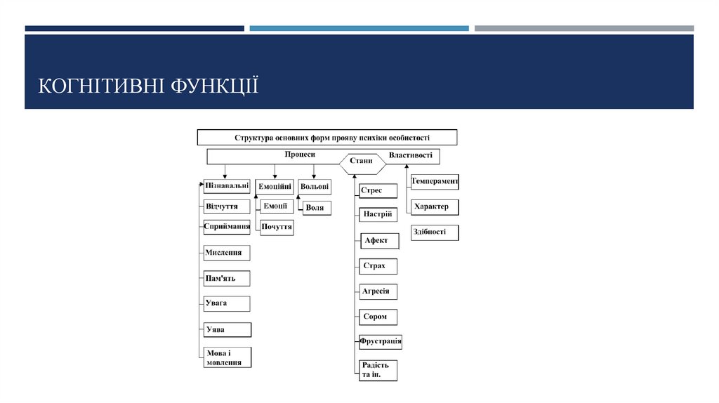 Когнітивні функції