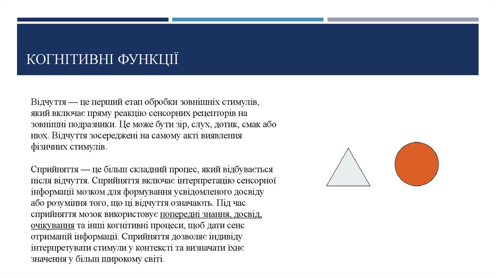 Когнітивні функції