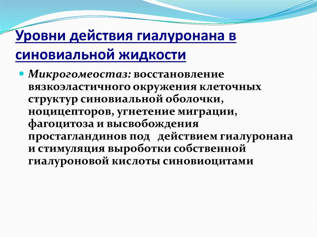 Уровни действия гиалуронана в синовиальной жидкости