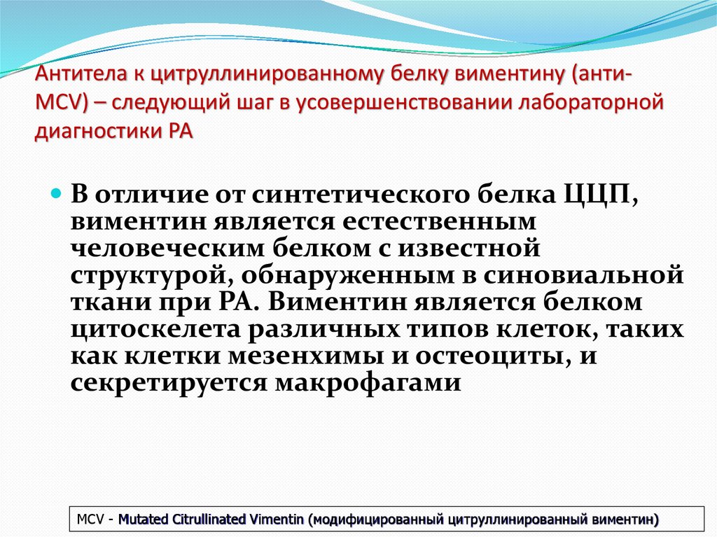 Антитела к цитруллинированному белку виментину (анти-МСV) – следующий шаг в усовершенствовании лабораторной диагностики РА