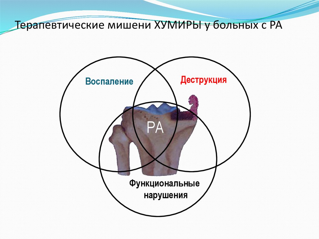 Терапевтические мишени ХУМИРЫ у больных с РА