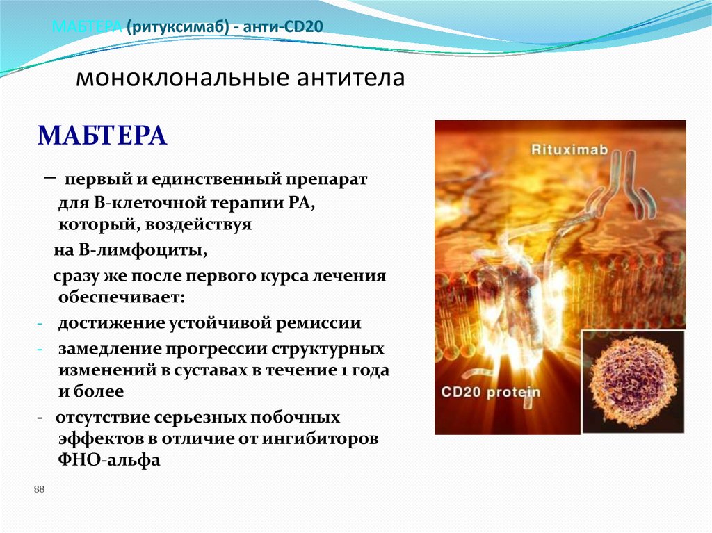 МАБТЕРА (ритуксимаб) - анти-CD20 моноклональные антитела