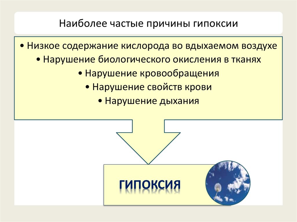 Наиболее частые причины гипоксии
