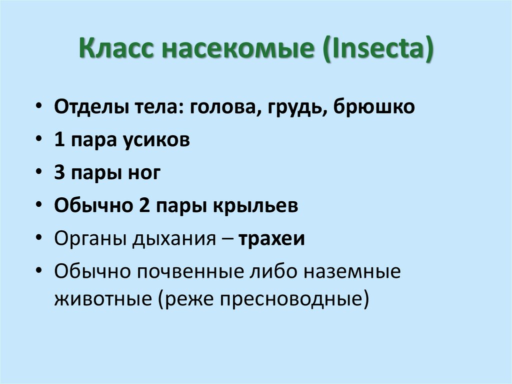 Класс насекомые (Insecta)