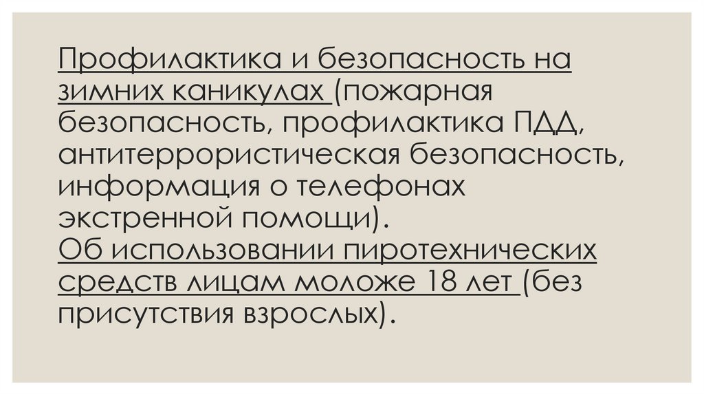 Профилактика и безопасность на зимних каникулах (пожарная безопасность, профилактика ПДД, антитеррористическая безопасность,