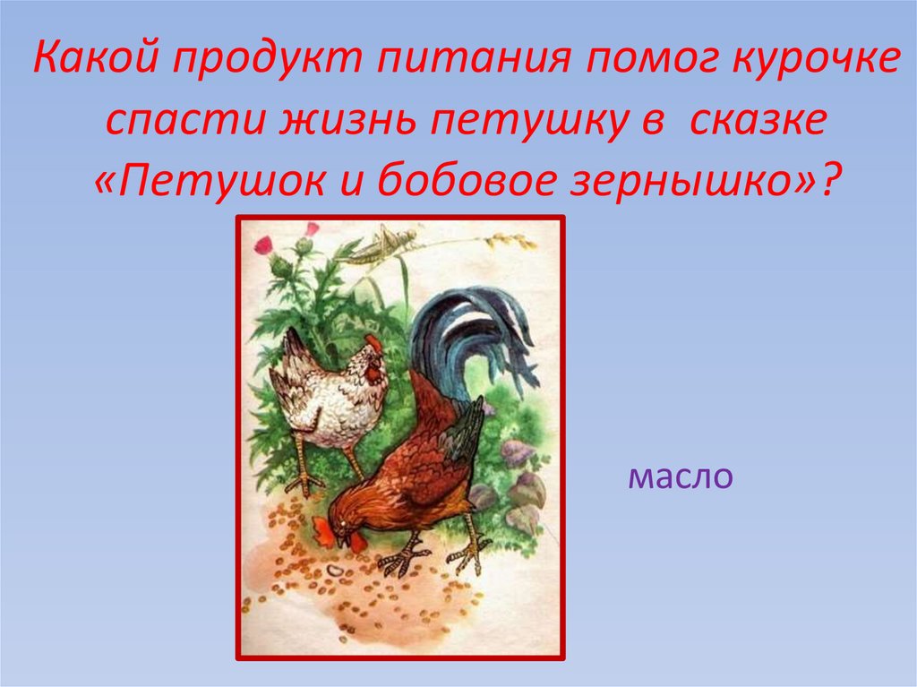 Какой продукт питания помог курочке спасти жизнь петушку в сказке «Петушок и бобовое зернышко»?