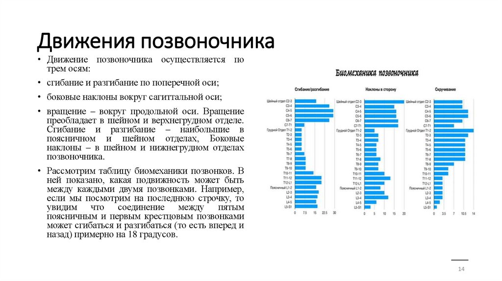 Движения позвоночника