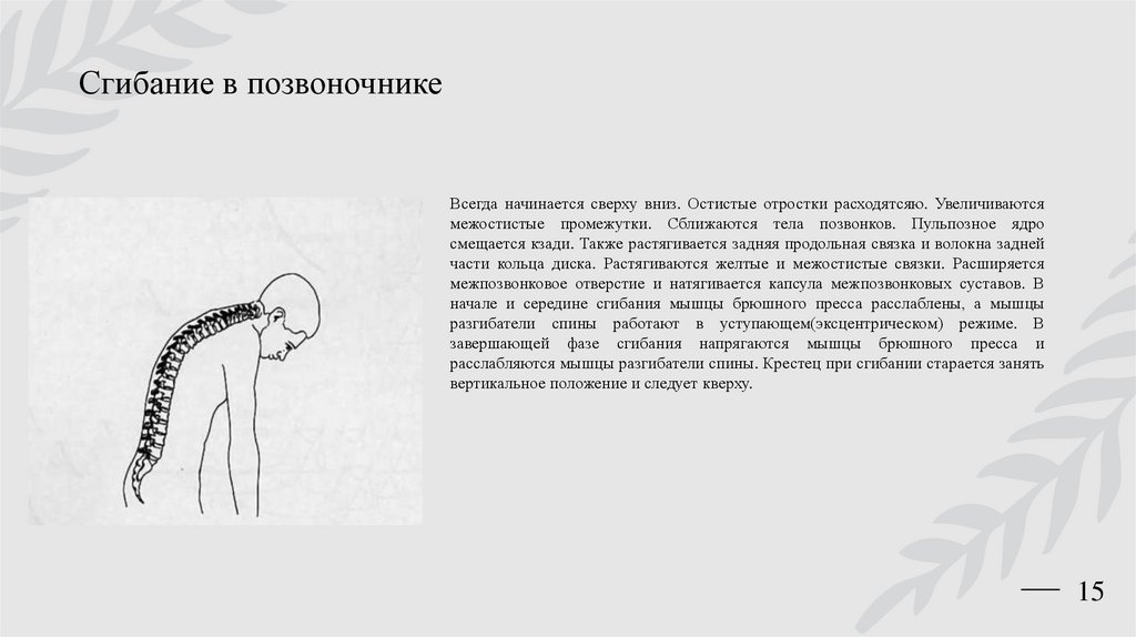 Сгибание в позвоночнике