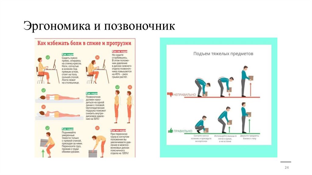 Эргономика и позвоночник