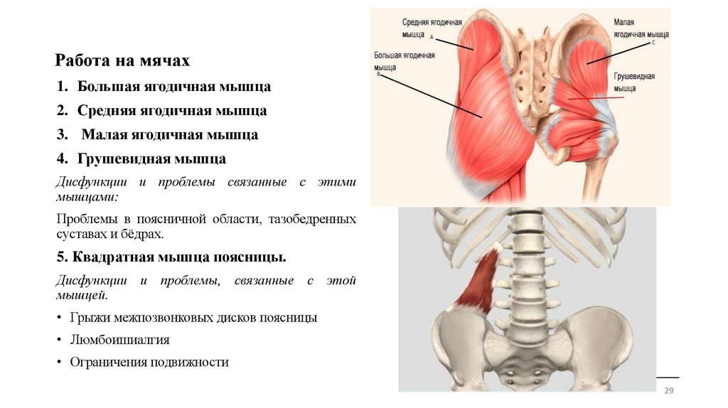 Работа на мячах