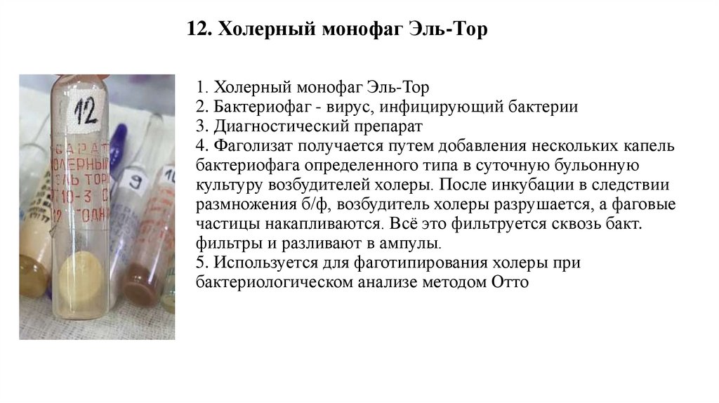 12. Холерный монофаг Эль-Тор