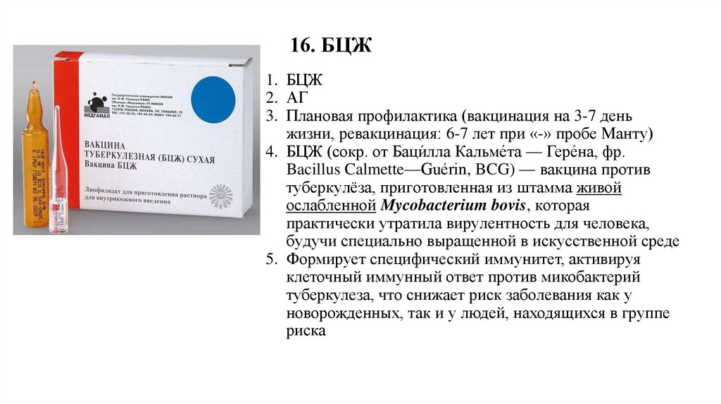 16. БЦЖ