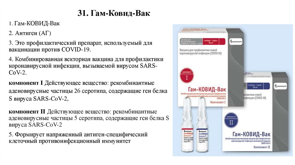 31. Гам-Ковид-Вак