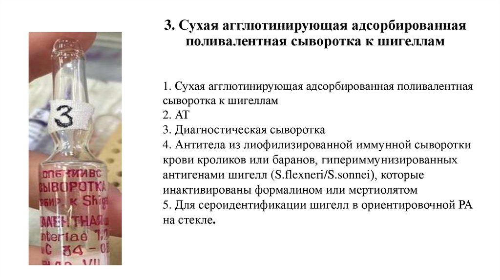3. Сухая агглютинирующая адсорбированная поливалентная сыворотка к шигеллам