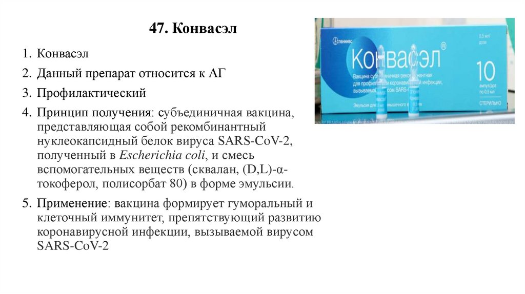 47. Конвасэл