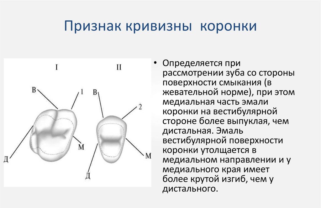 Признак кривизны  коронки