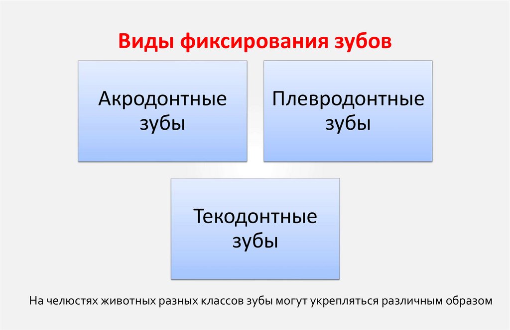 Виды фиксирования зубов