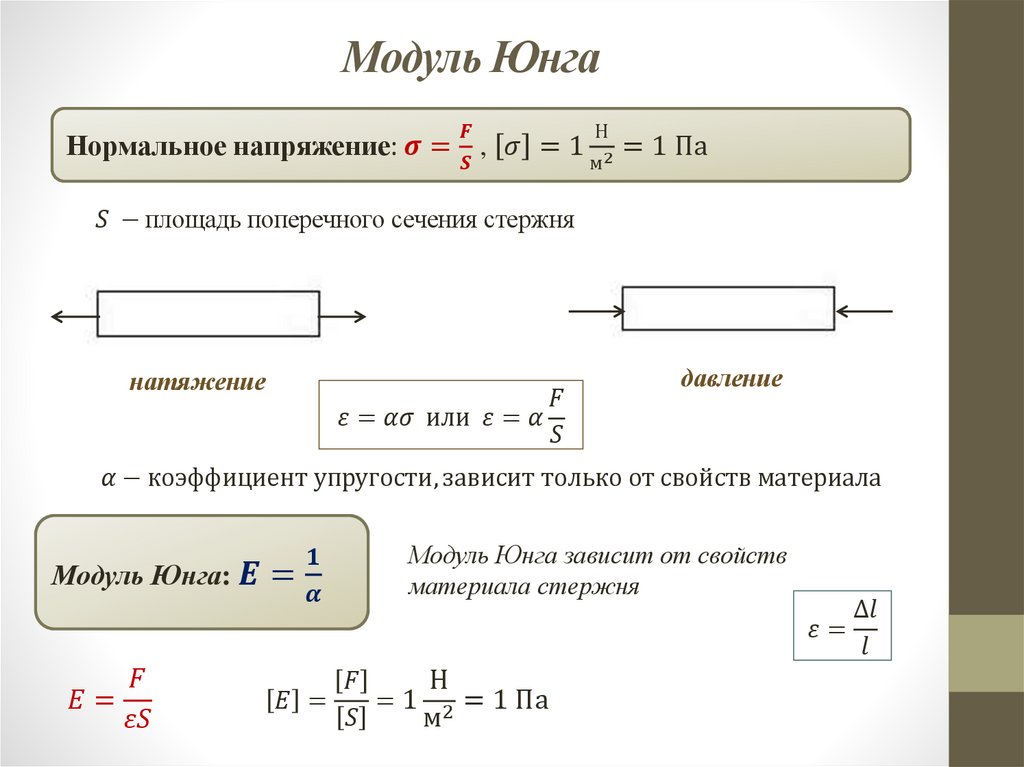 Модуль Юнга