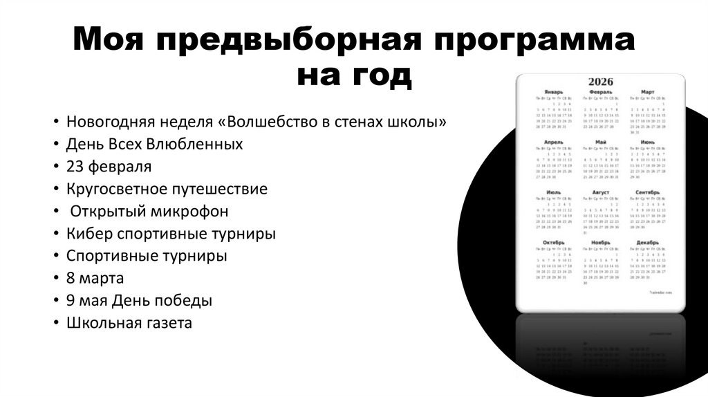 Моя предвыборная программа на год