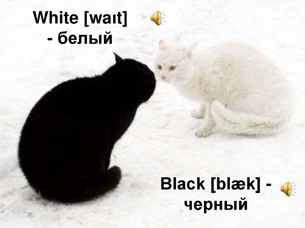 Black [blæk] - черный