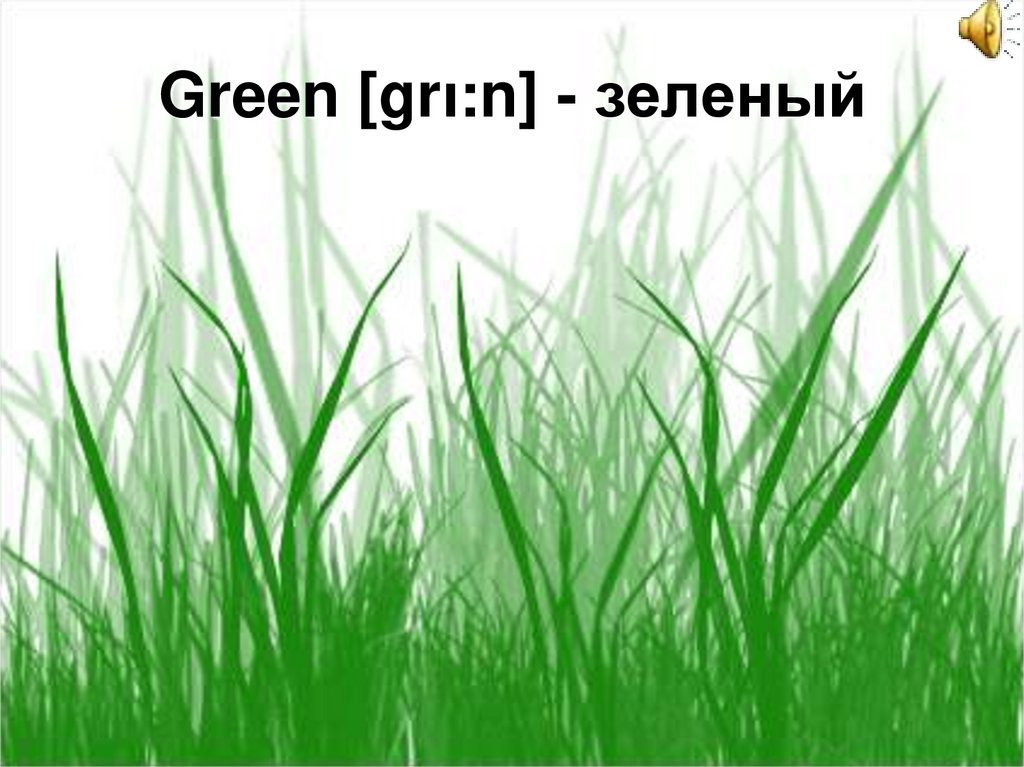 Green [grι:n] - зеленый