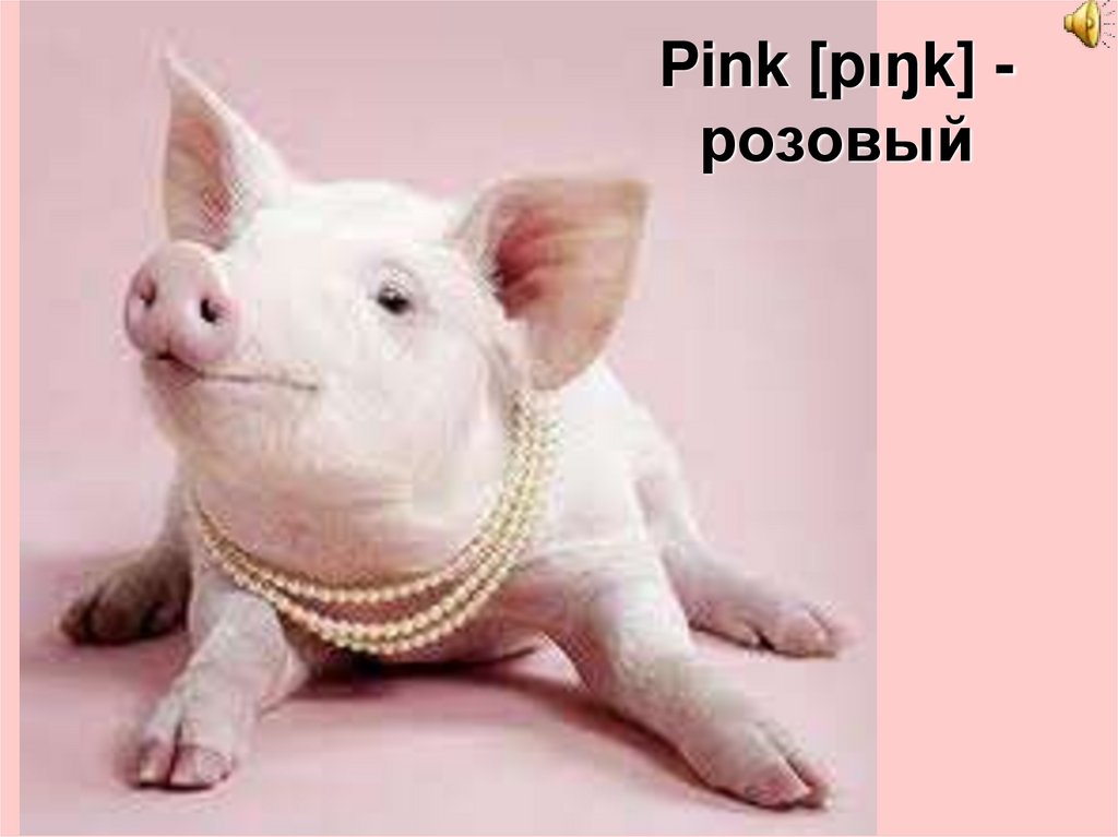 Pink [pιŋk] - розовый