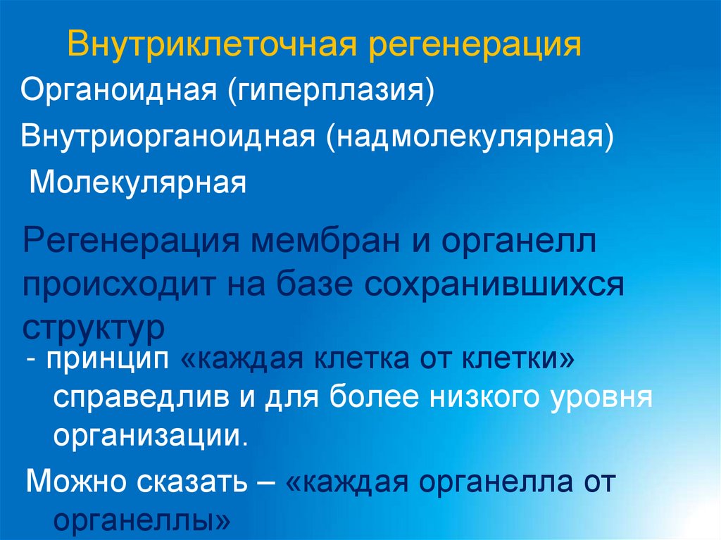 Внутриклеточная регенерация