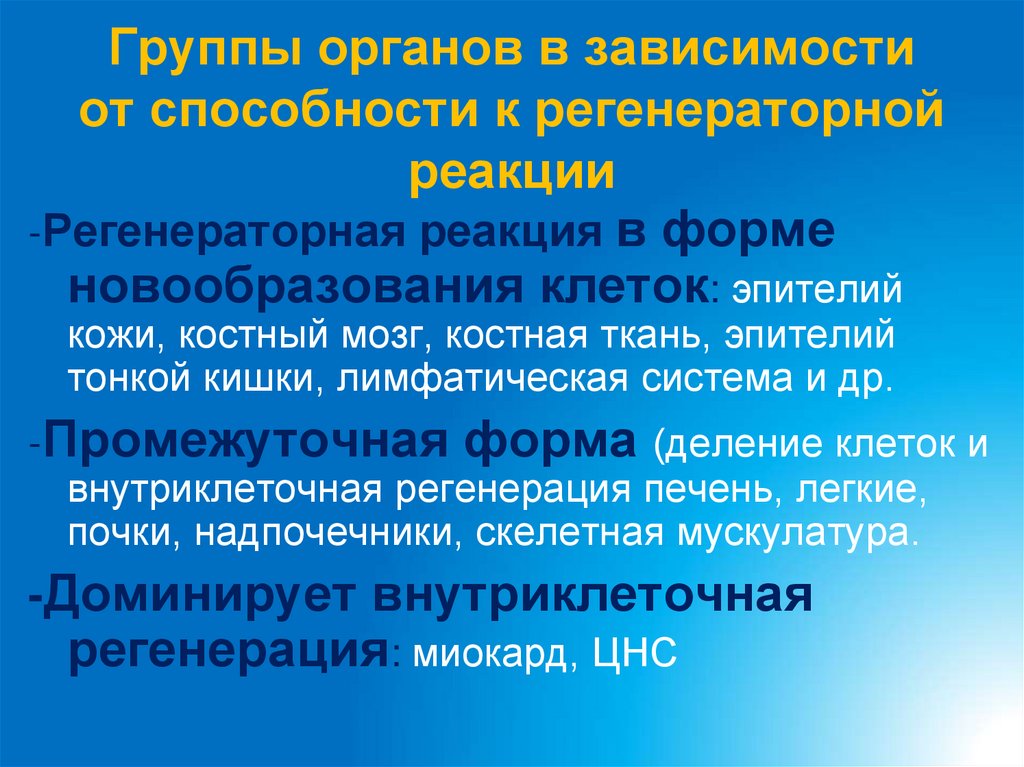 Группы органов в зависимости от способности к регенераторной реакции