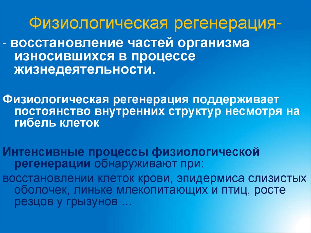 Физиологическая регенерация-