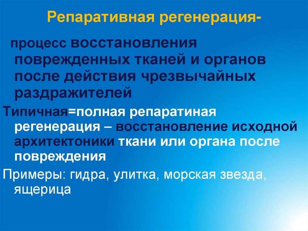 Репаративная регенерация-